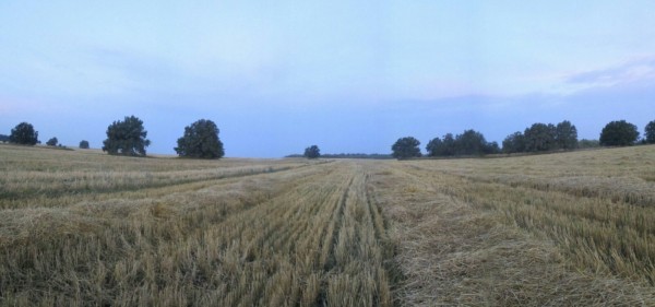 В Самарской области во время охоты убили мужчину