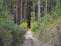 Сохранить то, что имеем, и восстановить то, что потеряли