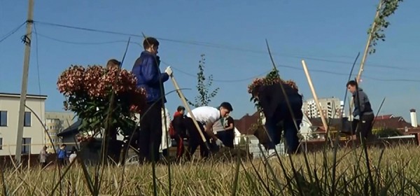 Благодаря школьникам из "Эко-содружества" в тольяттинском дендропарке появились новые деревья Благодаря школьникам из "Эко-содружества" в тольяттинском дендропарке появились новые деревья