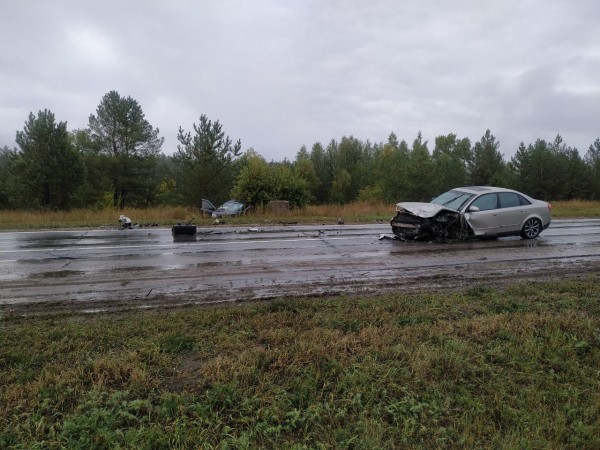 Выбросило с дороги: В Тольятти в жесткой аварии пострадала женщина