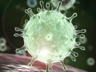 Стало известно, кто за сутки умер от коронавируса в Самарской области Стало известно, кто за сутки умер от коронавируса в Самарской области