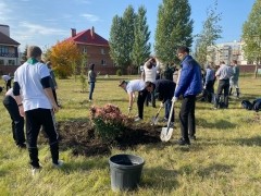 В тольяттинском дендропарке появились новые деревья