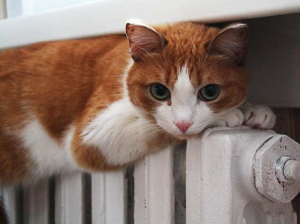 В Тольятти перенесли сроки подачи тепла в жилые дома В Тольятти перенесли сроки подачи тепла в жилые дома