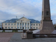 Получение муниципальных услуг в дистанционном режиме