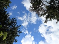 В Тольятти за неделю зафиксировано 5 превышений ПДК