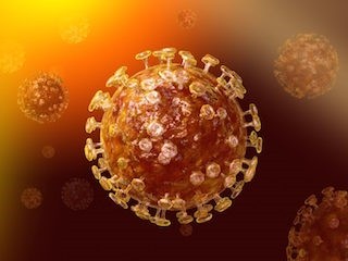 В Тольятти за сутки выявили 14 заболевших ковидом