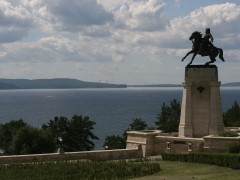 Социальная услуга на дому