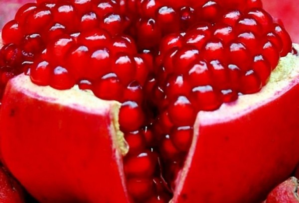 Ученые назвали продукты, способные подавлять коронавирус