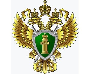 Свыше 50 сайтов внесли в реестр запрещенных по искам прокуратуры Тольятти