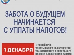 Плати налоги вовремя