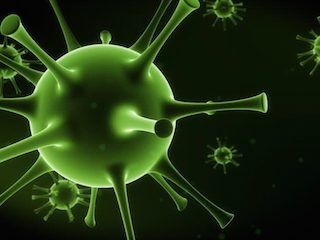 В Тольятти за сутки выявили 33 зараженных ковидом В Тольятти за сутки выявили 33 зараженных ковидом