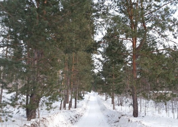 Синоптики: наступившая зима будет отличаться от прошлогодней Синоптики: наступившая зима будет отличаться от прошлогодней