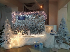 В Тольятти подвели итоги конкурса на лучшее новогоднее оформление учреждений социальной сферы