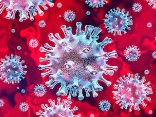 В Тольятти за сутки выявили 29 больных ковидом В Тольятти за сутки выявили 29 больных ковидом