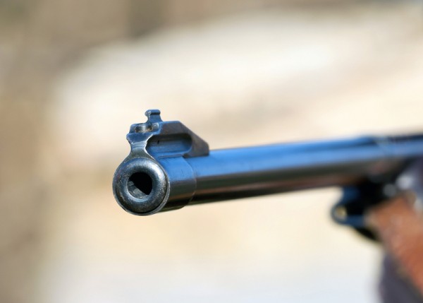 В Самарской области осужден мужчина, который нашел в земле винтовку 1895 года