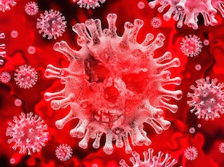 В Тольятти побит рекорд по выявлению зараженных ковидом В Тольятти побит рекорд по выявлению зараженных ковидом