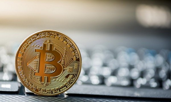 Профессор ТГУ приняла участие в международном исследовании