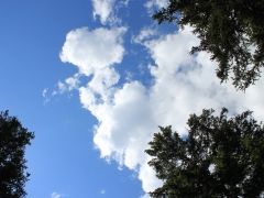 Мониторинг качества атмосферного воздуха