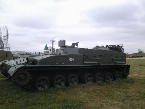 В Тольятти хотят построить партизанскую деревню