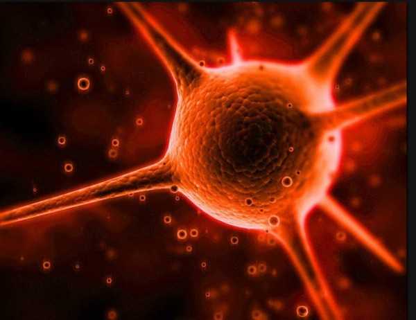 Ученые предложили уничтожать COVID-19 радиацией Ученые предложили уничтожать COVID-19 радиацией