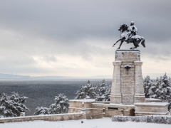 "Итоги реализации национального проекта "Производительность труда и поддержка занятости" на территории городского округа Тольятти"