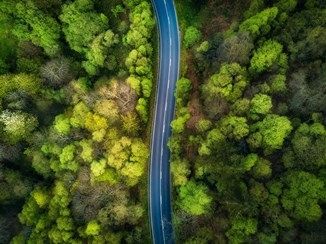 Новая дорога через лес в Тольятти? Ложь, фейк, брехня! Новая дорога через лес в Тольятти? Ложь, фейк, брехня!