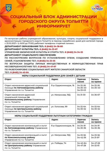 Культура, спорт, образование в режиме онлайн