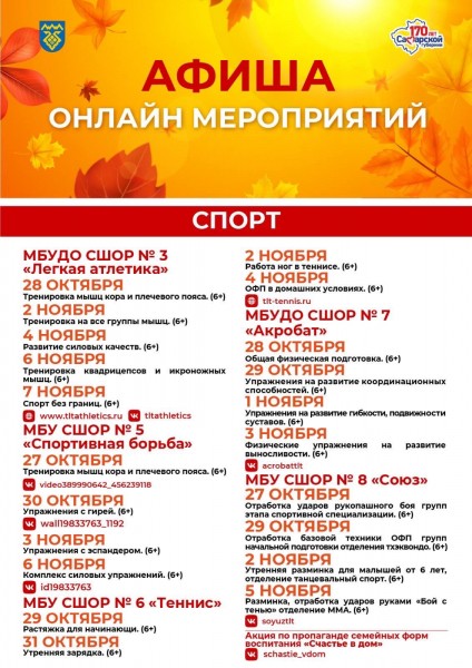 Культура, спорт, образование в режиме онлайн