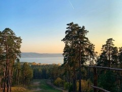 Культура, спорт, образование в режиме онлайн