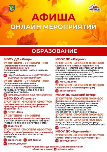 Культура, спорт, образование в режиме онлайн