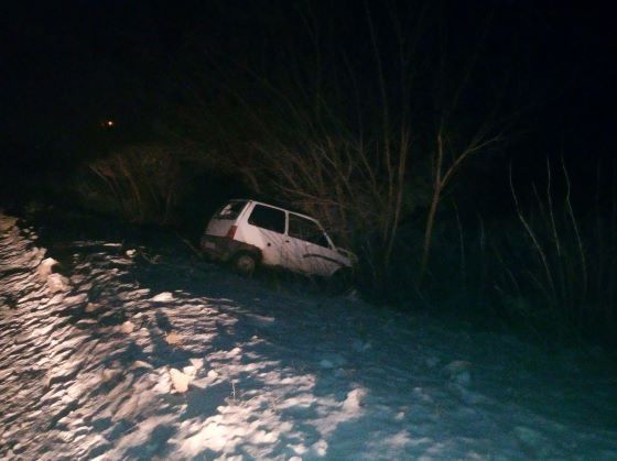 Пьяная автоледи покалечилась, влетев в дерево в Самарской области