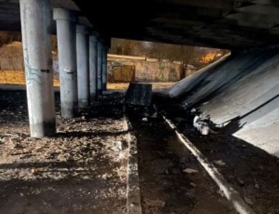 Два обгорелых тела нашли под мостом в Самаре