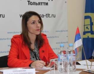 Депутаты Тольятти недовольны, что местное самоуправление лишено голоса при принятии федеральных законов