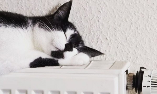 Все больше тольяттинцев желает оплачивать тепло по факту Все больше тольяттинцев желает оплачивать тепло по факту