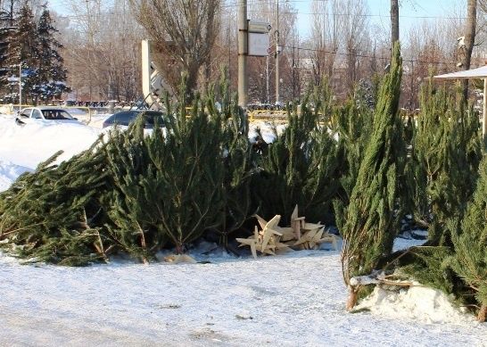 Во всех районах Тольятти заработали елочные базары