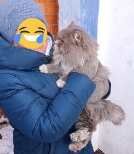 В Тольятти спасали упитанного кота, застрявшего между стенами