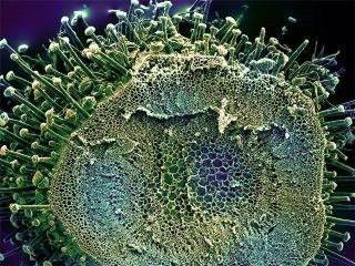 В Самарской области за сутки выявлено 2 478 случаев коронавируса В Самарской области за сутки выявлено 2 478 случаев коронавируса