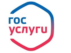 Какие цифровые госуслуги могут получить жители Самарской области Какие цифровые госуслуги могут получить жители Самарской области