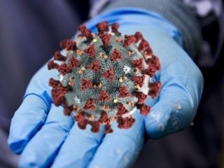 В Самарской области за сутки 3601 случай коронавируса В Самарской области за сутки 3601 случай коронавируса