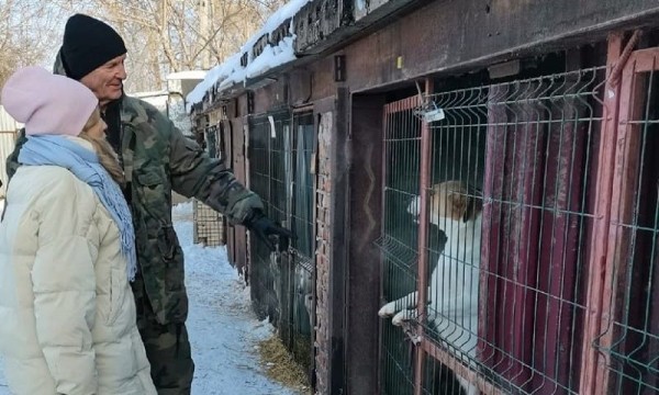 Приюты для бездомных животных поддержат? Приюты для бездомных животных поддержат?